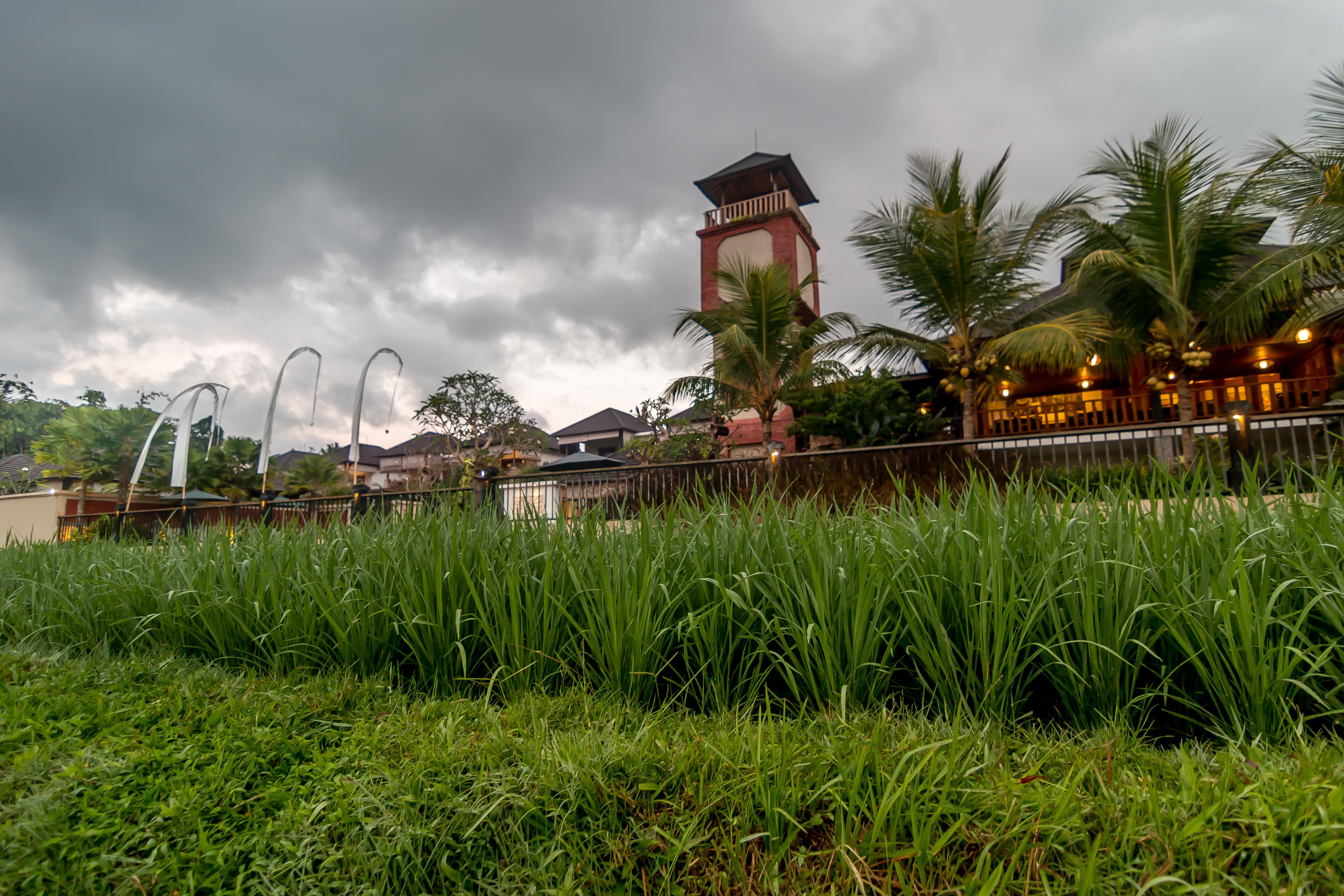 Onje Resort And Villas Ubud  Luaran gambar